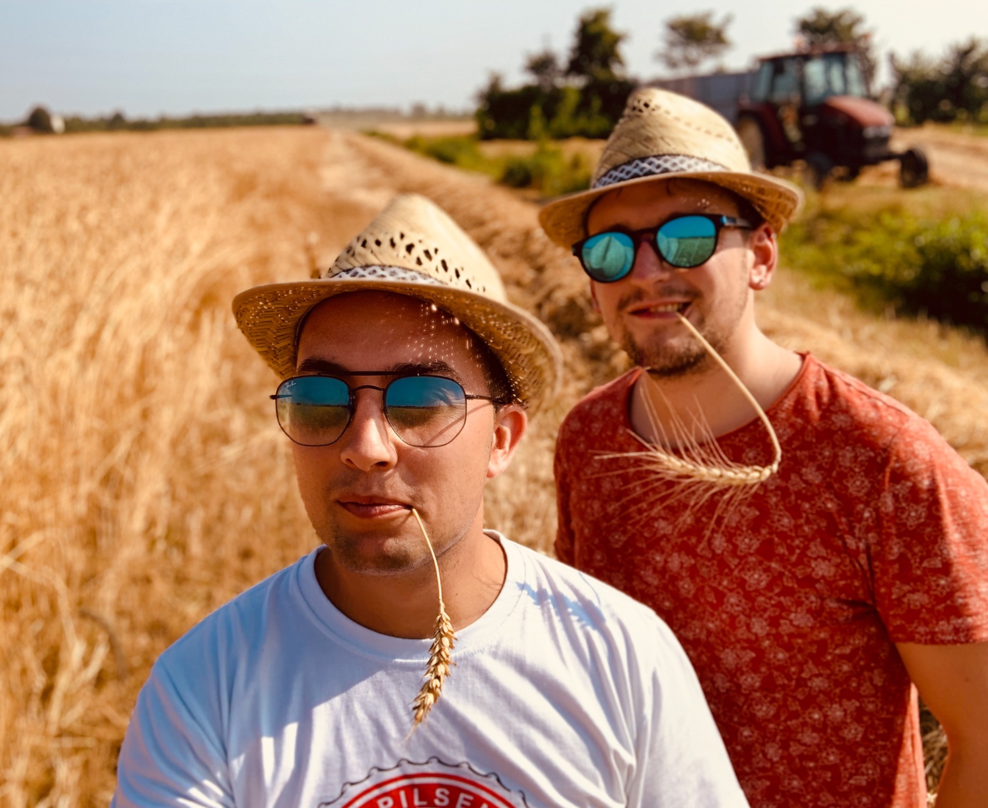 “Raccolto di grani antichi” (2019)